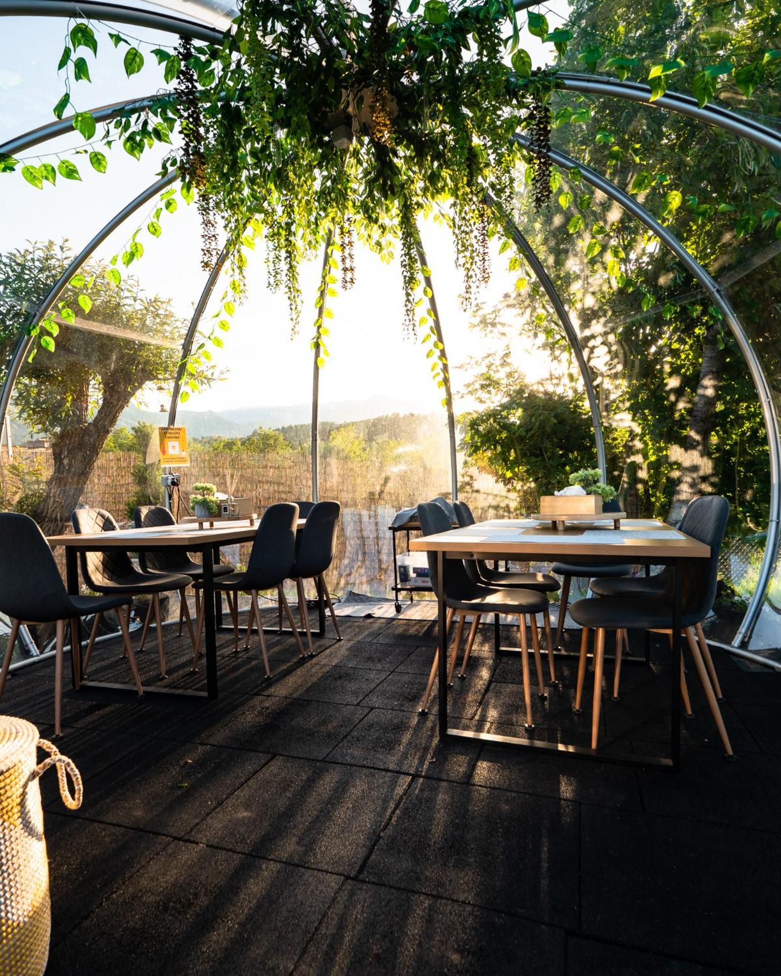 Glamp In Style Pods *