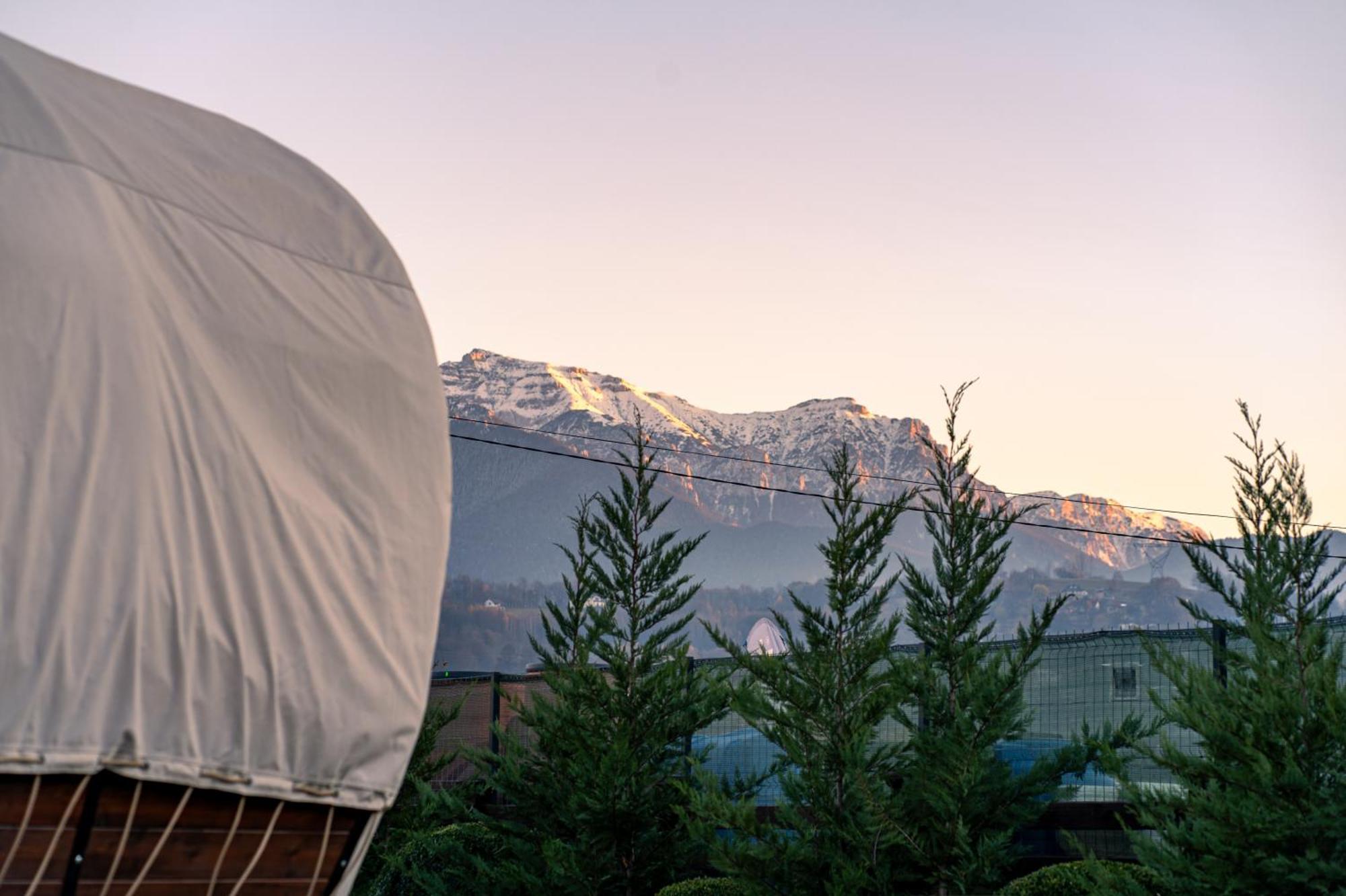 Glamp In Style Pods Ferienhaus Bran (Brasov)