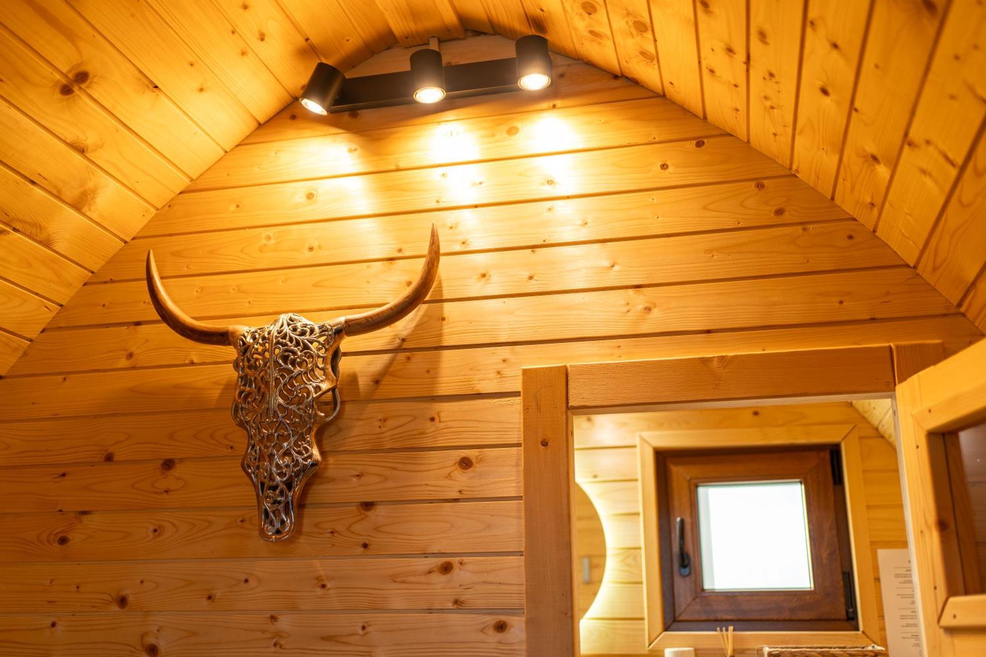 Glamp In Style Pods Ferienhaus Bran (Brasov)